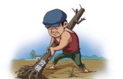珍创通：无背景无资源，普通人如何逆风翻盘？