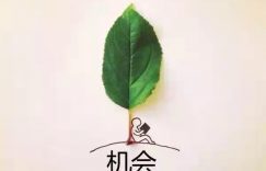 珍创通：为什么我们老是错过互联网、比特币、买房、淘宝这样的暴富机会？缩略图